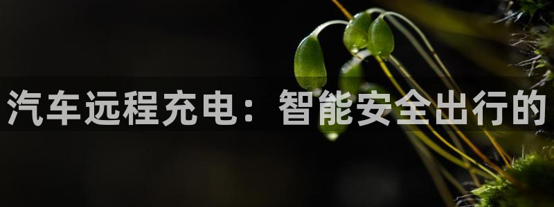 优发国际官网登录：汽车远程充电：智能安全出行的