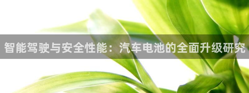 优发国际平台app下载：智能驾驶与安全性