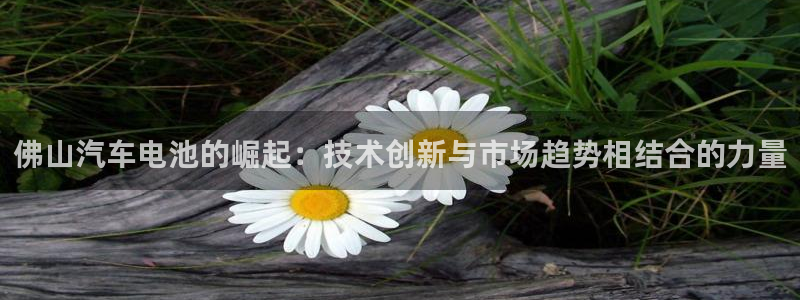 优发国际app官网下载安装手机版