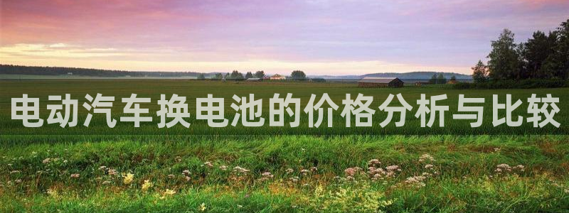 优发国际不出款了吗：电动汽车换电池的价格