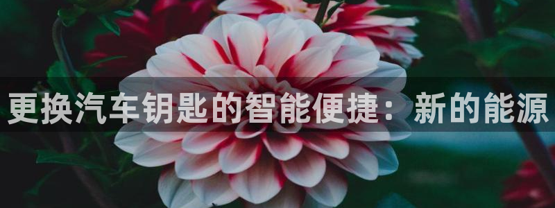 优发国际不出款：更换汽车钥匙的智能便捷：