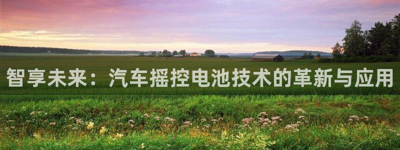 优发国际网官网17w80是什么