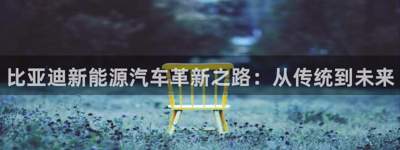 优发国际手机版官网：比亚迪新能源汽车革新