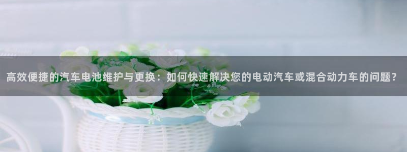 优发国际手机安装登录：高效便捷的汽车电池
