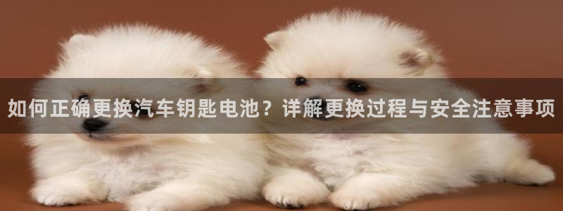 优发国际 干什么的