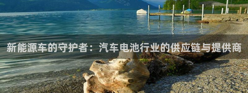 优发国际一触即发登陆：新能源车的守护者：