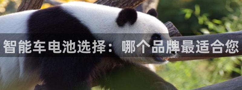 优发国际youfa966