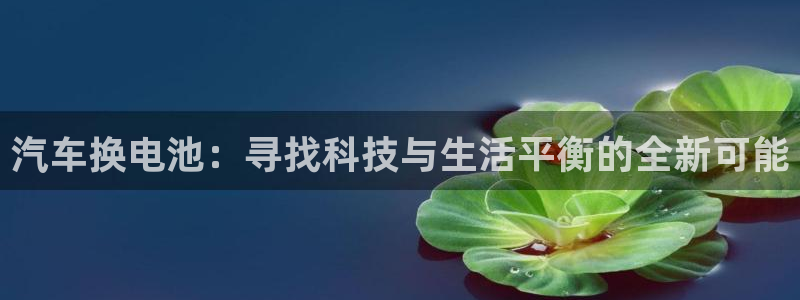 优发国际合并到哪里了啊：汽车换电池：寻找