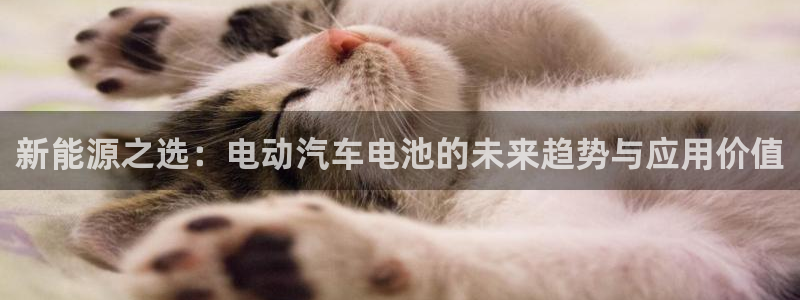 优发国际游戏官网：新能源之选：电动汽车电