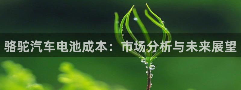 优发娱乐pc版官网