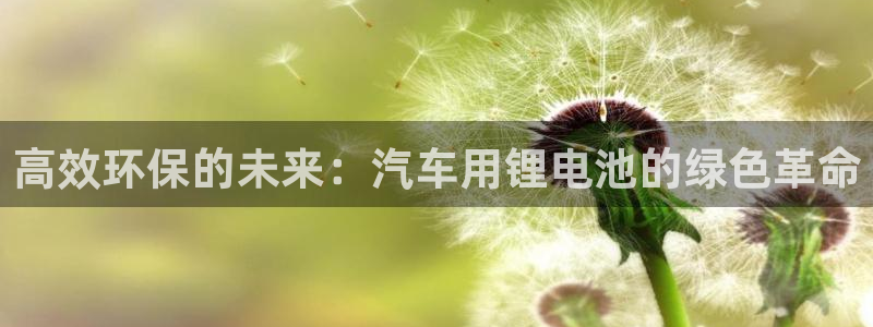 优发国际多少钱