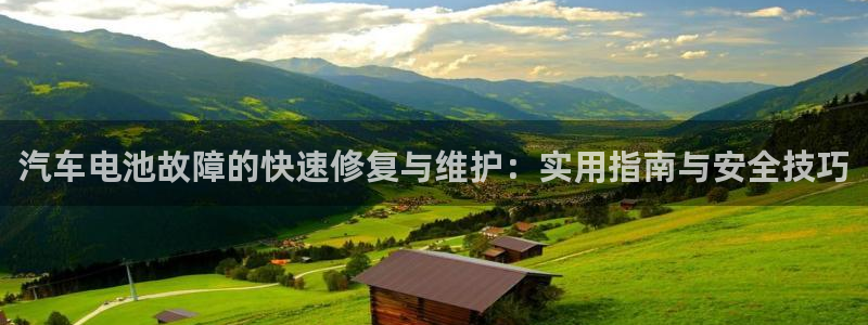 优发国际官方网：汽车电池故障的快速修复与