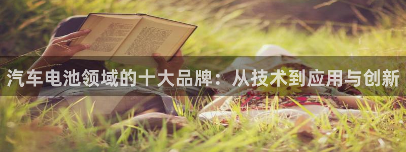 优发国际平台app下载官网：汽车电池领域的十大品牌：从技术到应用与创新