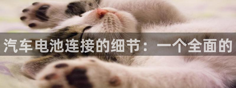 优发国际最新网站下载：汽车电池连接的细节