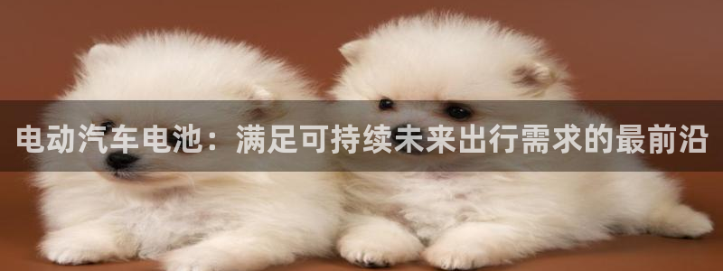 优发国际游戏n：电动汽车电池：满足可持续
