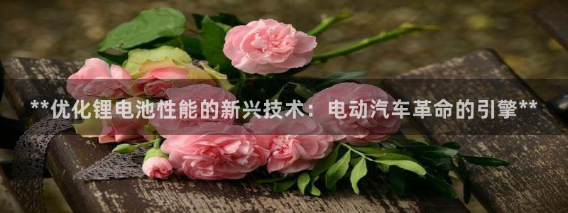 优发国际是不是黑网：**优化锂电池性能的新兴技术：电动汽车革命的引擎**