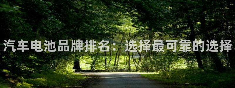 优发国际官方网手机版app：汽车电池品牌排名：选择最可靠的选择
