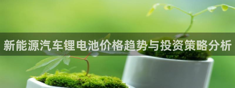 优发国际注册账号：新能源汽车锂电池价格趋势与投资策略分析