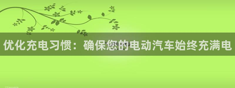 优发国际这个平台怎么样可靠吗：优化充电习惯：确保您的电动汽车始终充满电
