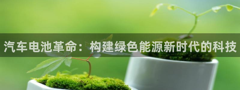 优发国际合并到哪里了