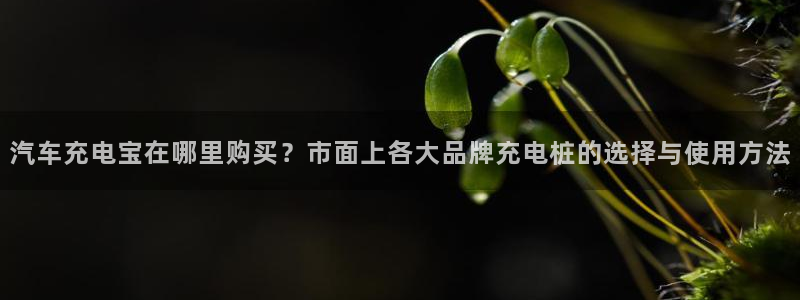 优发国际是大平台吗是真的吗