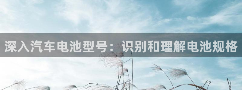 优发国际youfa966