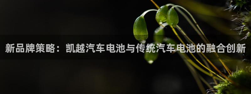 优发国际平台u8