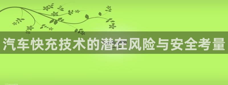 优发国际合并到哪里了最新消息：汽车快充技术的潜在风险与安全考量